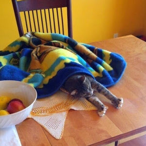 Meet your Posher, Aaron